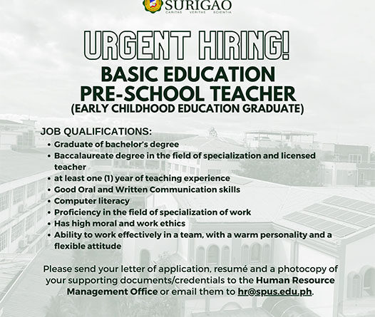 Basic Education Pre-school Teacher